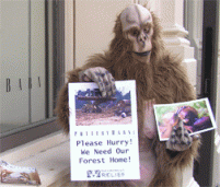 guerilla gorilla advertising